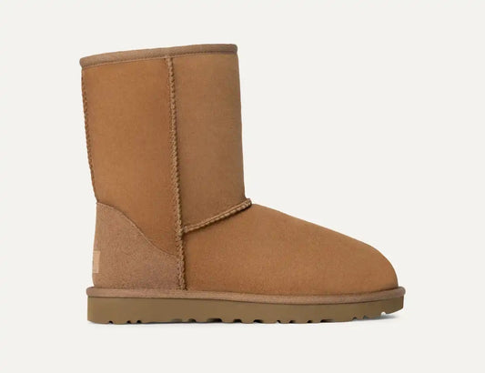 Ugg Botte Classic Short II
